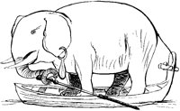 Elephant Rowing.tif