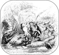Frogs Complaining.tif