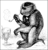 Monkey Smoking.tif