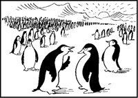 Penguins Talking.tif