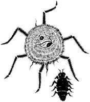 Spider Creature and Bug.tif