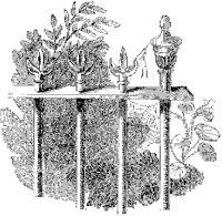 Spiderwebs in Fence.tif