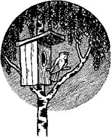 Bird and Birdhouse.tif