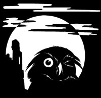 Blinking Owl and Moon.tif