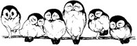 Sleepy Owls on Branch.tif