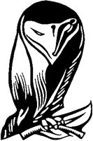Stylized Owl.tif