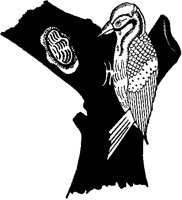 Woodpecker.tif
