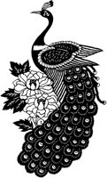 Peacock Cutout.tif