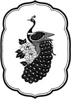 Peacock Cutout in Frame.tif