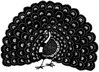 Peacock Display Cutout A.tif