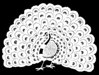 Peacock Display Cutout B.tif