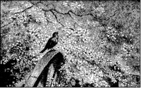 Bird Singing on Wheel.tif