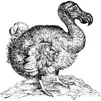 Dodo Bird 1.tif