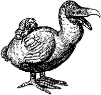 Dodo Bird 2.tif