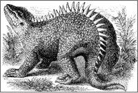 Hylaeosaurus.tif