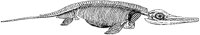 Ichthyosaurus Skeleton.tif