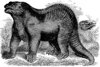 Iguanodon.tif