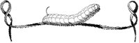 Caterpillar Design.tif