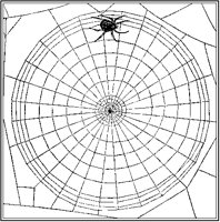 Geometric Spider and Web.tif