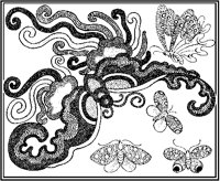 Stylized Butterflies.tif