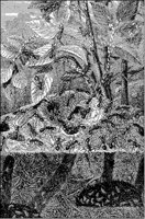 Anthill Sectioned.tif