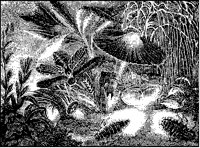Glowworms.tif
