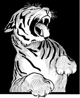 Fierce Tiger.tif