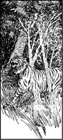 Tiger with Trees.tif
