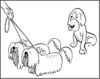 Pampered Dogs and Dog.tif
