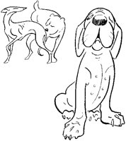 Sitting Dog and Two Others.tif