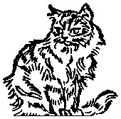Cat.tif