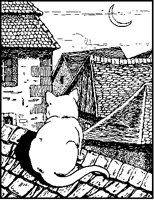 Cat on Rooftop.tif