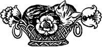 Cat Sleeping in Flower Basket.tif