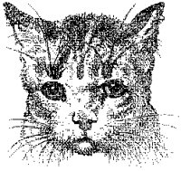 Cat's Face.tif