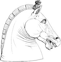 Stylized Horse's Head 1.tif