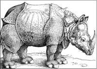 Rhinoceros by Dürer.tif