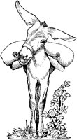 Smiling Donkey with Load.tif