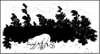 White Wolf In Winter.tif