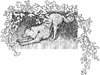 Wolf and Branches.tif