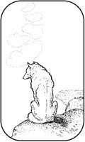 Wolf Sitting On Cliff.tif