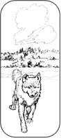 Wolf With Cloud.tif