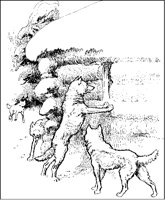 Wolves at Cabin.tif