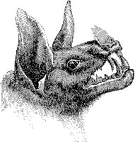 Spectre Bat Head.tif
