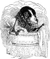Dog In Basket.tif
