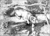 Irish Terrier.tif