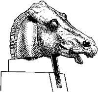 Ancient Horse's Head.tif