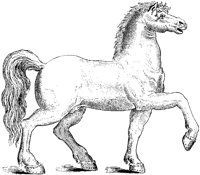 Italian Horse Statue.tif