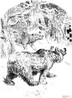 Bears in Winter Woods.tif