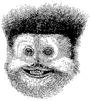 New World Monkey Head 2.tif