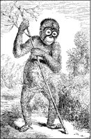 Orang-Utang.tif